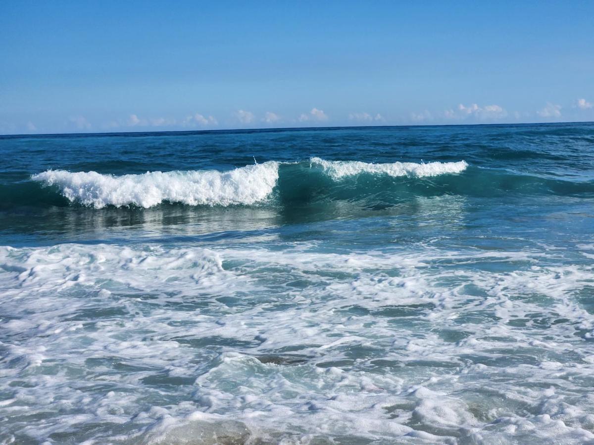 Beachfront Apartment, Quiet 4 Beds, 1 Bath, Ac, Wi-Fi, Hot Water, In Paraiso Near Los Patos Exteriör bild