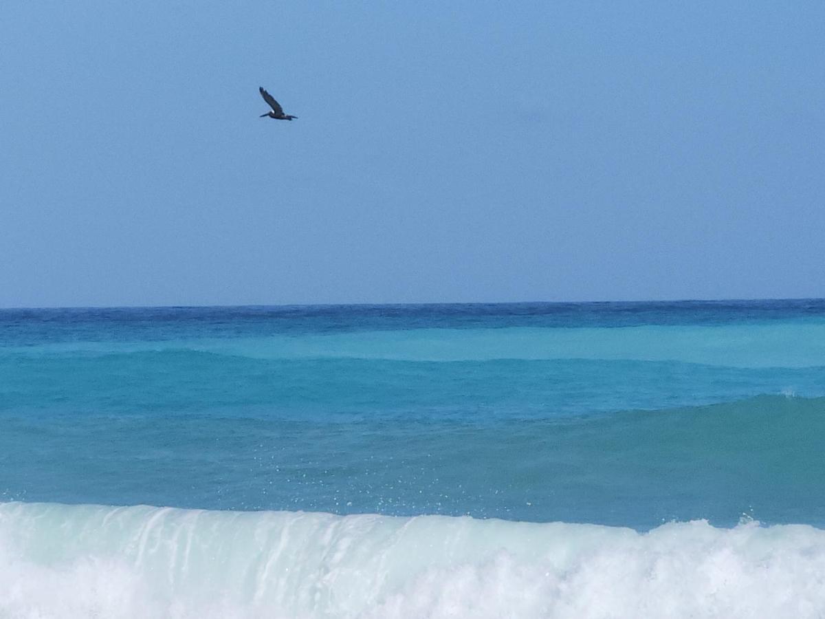 Beachfront Apartment, Quiet 4 Beds, 1 Bath, Ac, Wi-Fi, Hot Water, In Paraiso Near Los Patos Exteriör bild